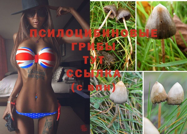 MESCALINE Балахна
